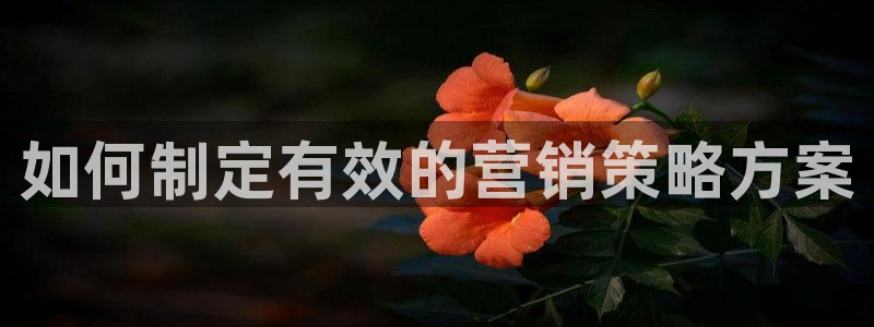 必赢官网下载