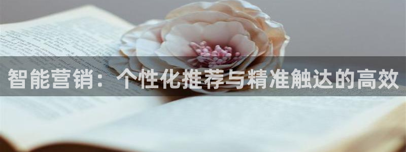 必赢网址手机主页在哪