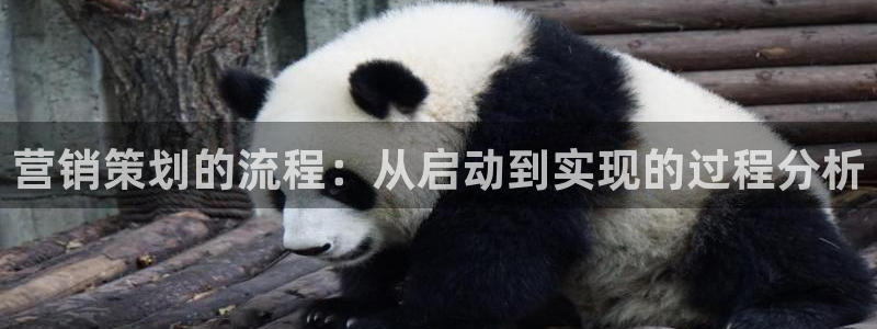 必赢3003 会员账号