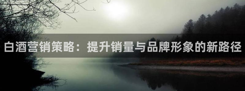 必赢网址手机主页