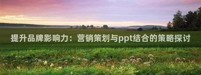 必赢网站进去