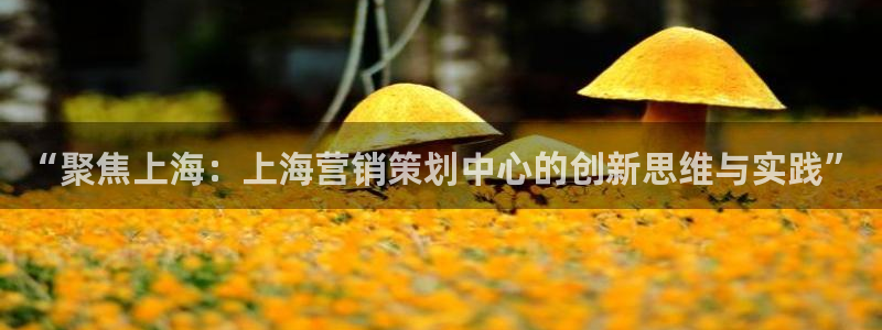 必赢九五