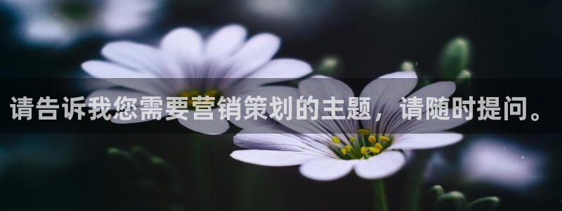 必赢72886网址多少啊