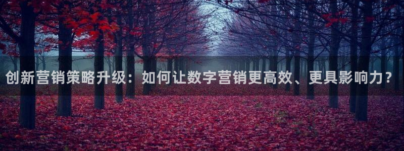 必赢下载
