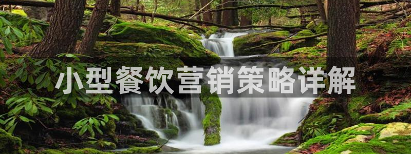 必赢516net怎么进