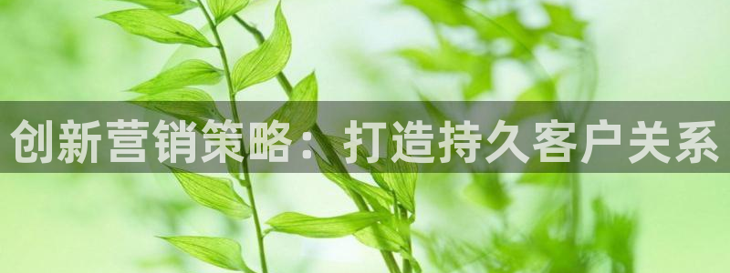 必赢72886后面字母是多少