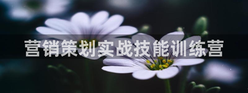 必赢516net怎么进