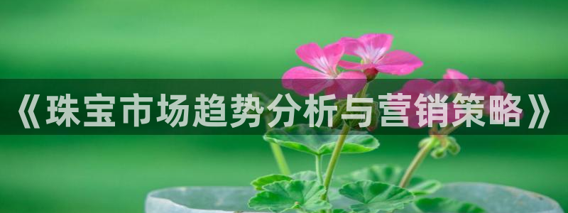 必赢官网下载安装手机版