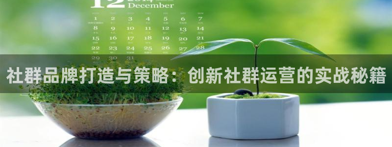 必赢旧网站