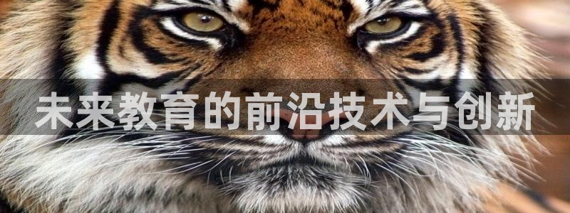 必赢手机app下载 最新版