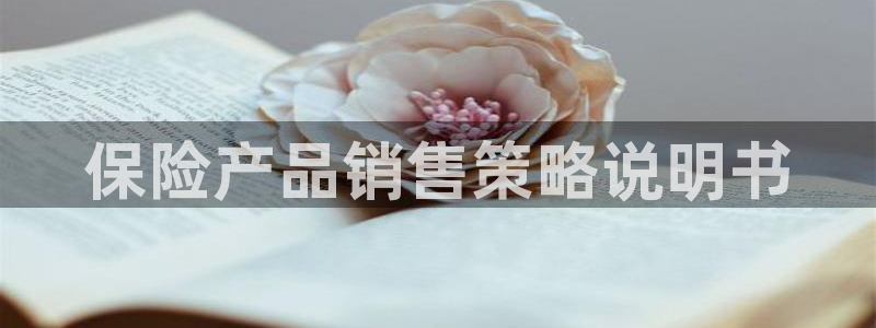 必赢3003手机网页版