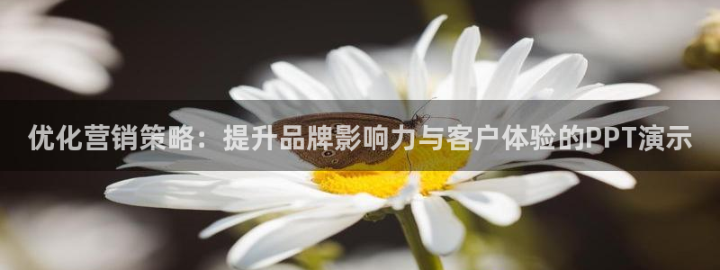 必赢客软件