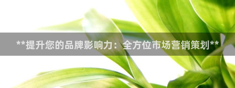 必赢国际软件下载