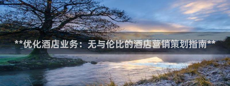 必赢官网