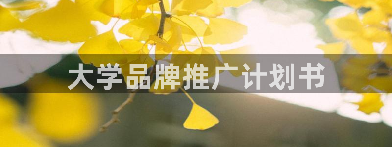 必赢72882网址