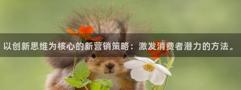 必赢官网网站入口下载