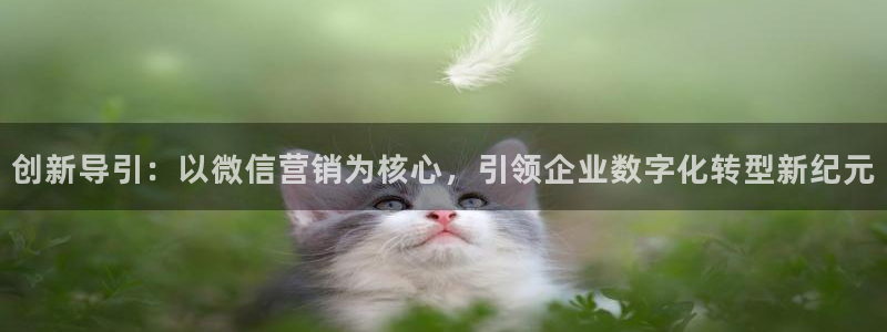 必赢手机app下载安装最新版