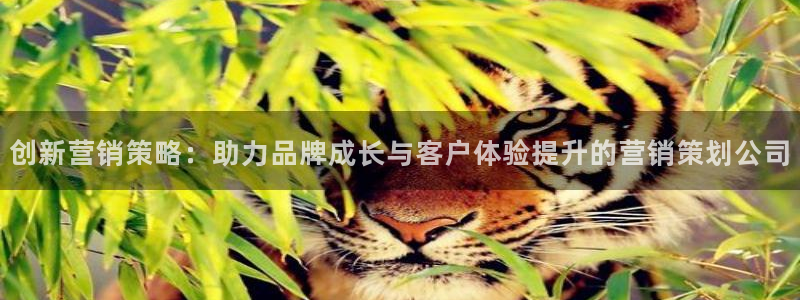 必赢这个软件怎么样可靠吗