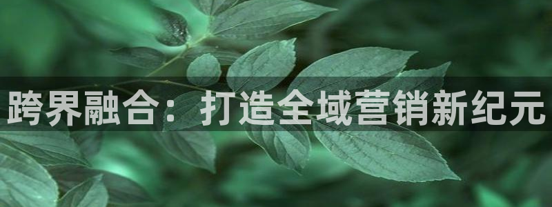 必赢官网app下载安装苹果手机