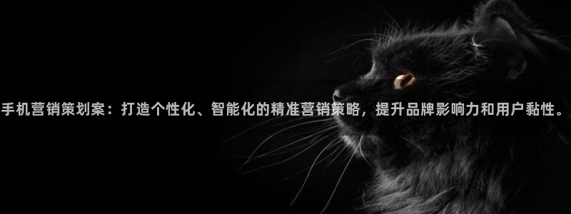 必赢888国际集团：手机营销策