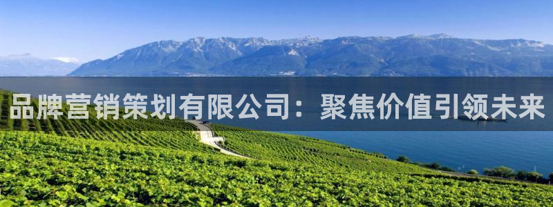 必赢网址谁知道：品牌营销策划有