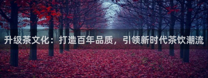必赢科技：升级茶文化：打造百年