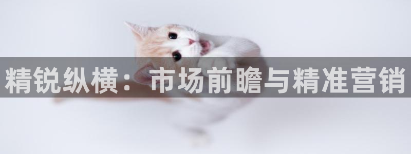 必赢平台官方网站