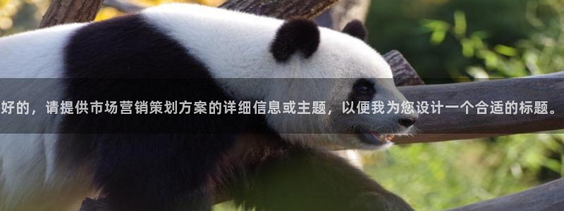 必赢最新网页：好的，请提供市场