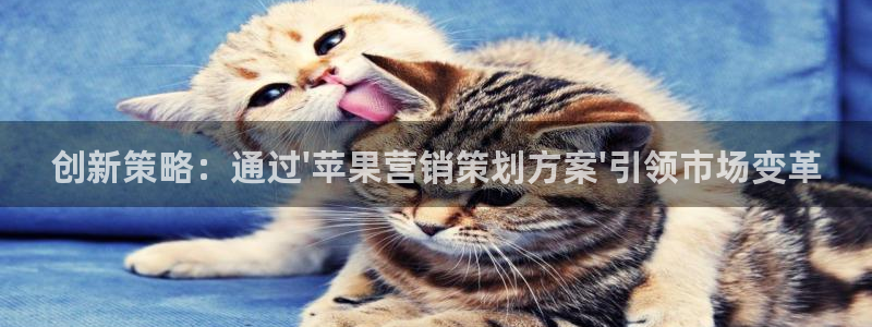 必赢国际a600典ccapp