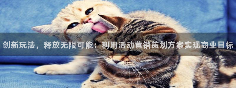必赢官网app下载安装最新版本