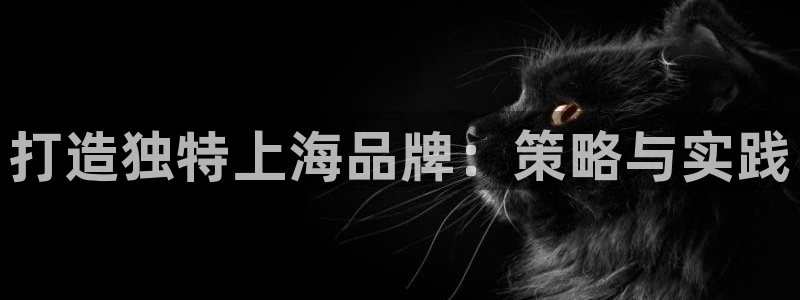 必赢.apk：打造独特上海品牌