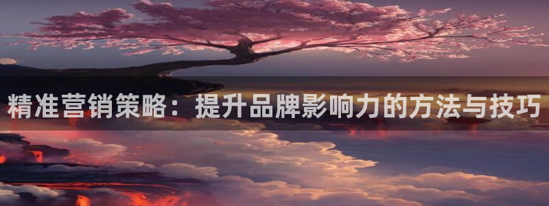 数三十游戏必赢技巧：精准营销策
