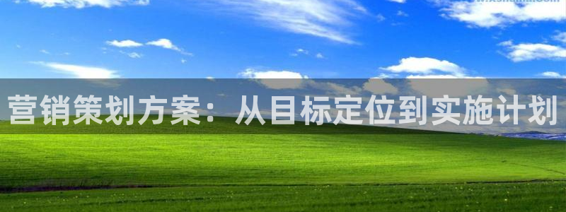 必赢最新：营销策划方案：从目标