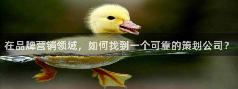 必赢国际儋州社区