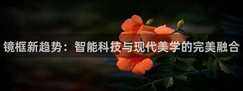 必赢集团怎么样