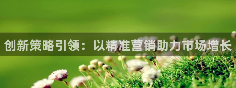 必赢平台电子：创新策略引领：以