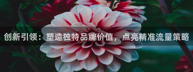 必赢3003+会员账号：创新引