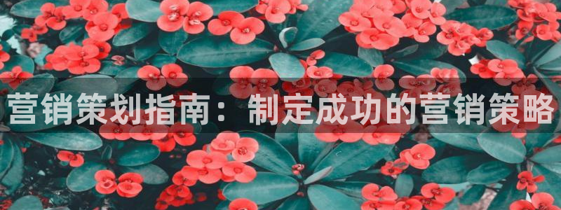 必赢是真的吗：营销策划指南：制