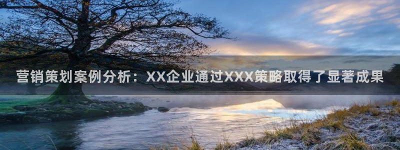 必赢用户登录：营销策划案例分析