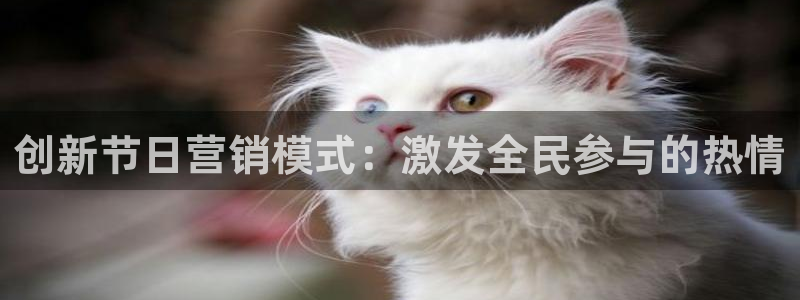 必赢网站是哪一个