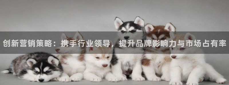 必赢官网app下载安装手机版最新版