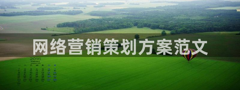 必赢国际是什么：网络营销策划方