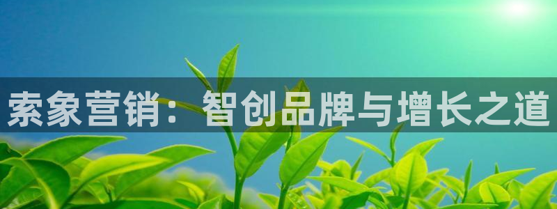 必赢手机app下载安装最新版：